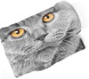 Fleecová fotodeka - Kočičí pohled více rozměrů