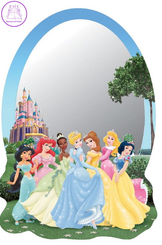 Akrylové zrcadlo Disney Princezny DM2109-2022