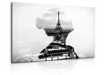 Černobílý obraz Dáma v Paříži