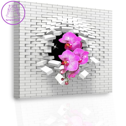 3D obraz Orchidej