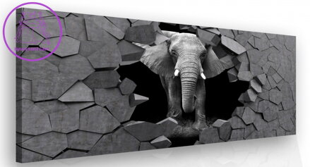 3D obraz Slon v kameni