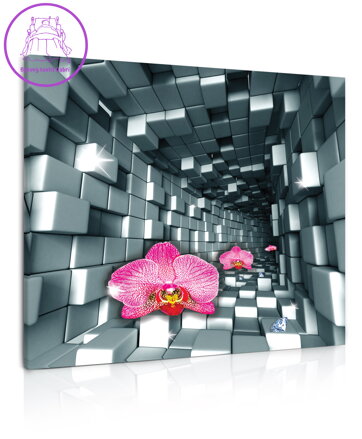 3D obraz Orchidej v tunelu