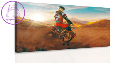 Obraz Motorkář v poušti