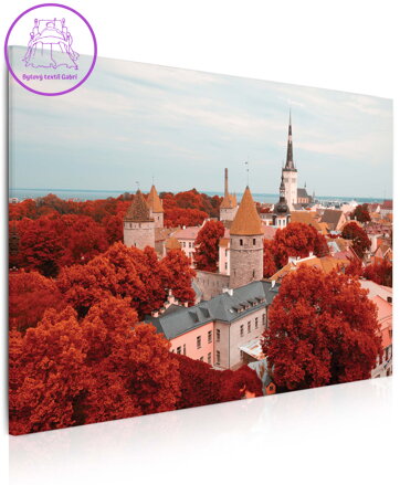 Obraz Město Tallinn