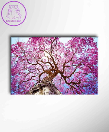 Obraz Rozkvetlý strom s růžovými květy